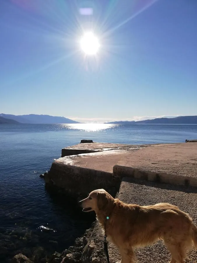 Sobe Apartma Galic Novi Vinodolski Κροατία